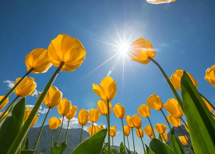 Apartmán Kiki House Lugano