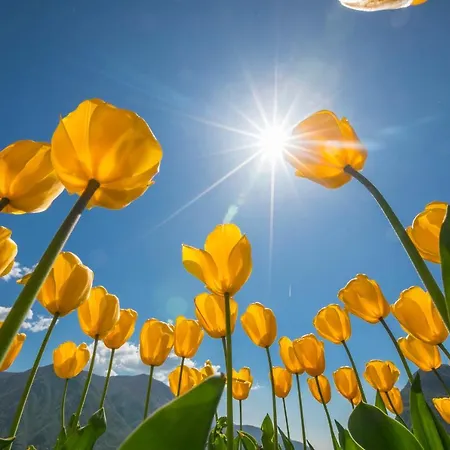 Apartman Kiki House Lugano